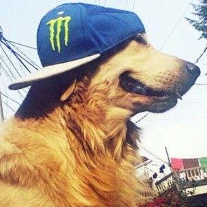 Meet your Posher, Keith